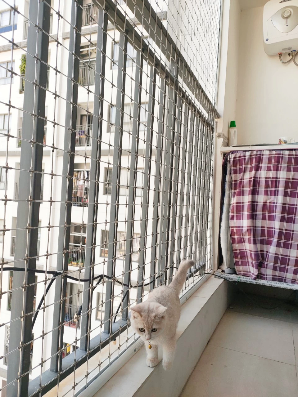 cáp inox chống mèo